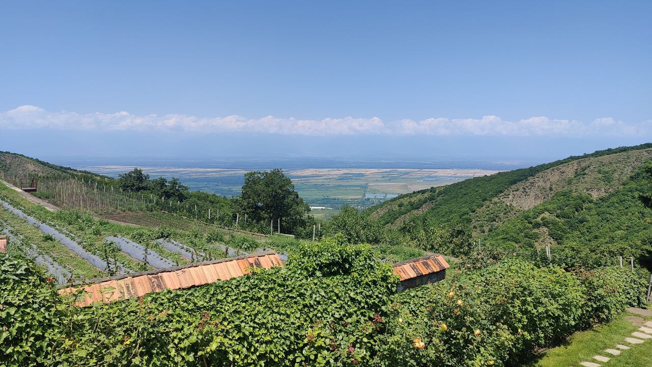 Алазанская долина